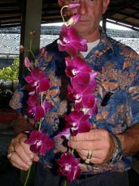 Barry Cohen at Doi Saket Orchid