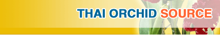 Thai orchid consultants
